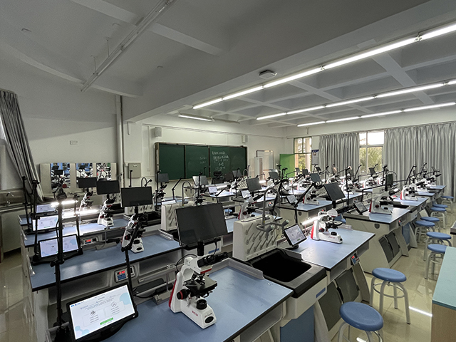 �п���(sh��)�(y��n)�������u(p��ng)ϵ�y(t��ng)