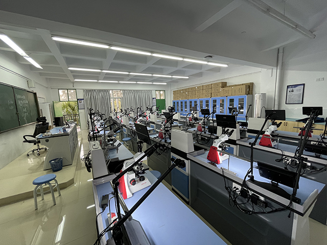 �п���(sh��)�(y��n)�������u(p��ng)ϵ�y(t��ng)