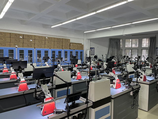 �п���(sh��)�(y��n)�������u(p��ng)ϵ�y(t��ng)